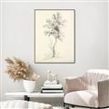 Picture of Tall Tree II _GroupedProduct_Rectangle_Portrait_Canvas_Framed_