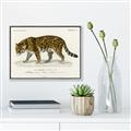 Picture of Carrnivores _GroupedProduct_Rectangle_Landscape_Canvas_Framed_