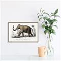 Picture of Indian Elephant _GroupedProduct_Rectangle_Landscape_Canvas_Framed_