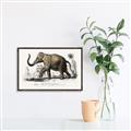 Picture of Indian Elephant _GroupedProduct_Rectangle_Landscape_Canvas_Framed_