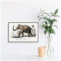 Picture of Indian Elephant _GroupedProduct_Rectangle_Landscape_Canvas_Framed_