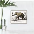 Picture of Indian Elephant _GroupedProduct_Rectangle_Landscape_Canvas_Framed_