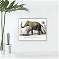 Picture of Indian Elephant _GroupedProduct_Rectangle_Landscape_Canvas_Framed_