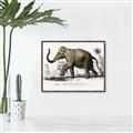 Picture of Indian Elephant _GroupedProduct_Rectangle_Landscape_Canvas_Framed_