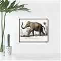 Picture of Indian Elephant _GroupedProduct_Rectangle_Landscape_Canvas_Framed_