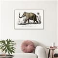 Picture of Indian Elephant _GroupedProduct_Rectangle_Landscape_Canvas_Framed_