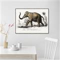 Picture of Indian Elephant _GroupedProduct_Rectangle_Landscape_Canvas_Framed_
