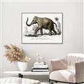 Picture of Indian Elephant _GroupedProduct_Rectangle_Landscape_Canvas_Framed_