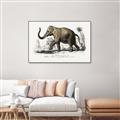 Picture of Indian Elephant _GroupedProduct_Rectangle_Landscape_Canvas_Framed_