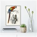Picture of Feathered Friends _GroupedProduct_Rectangle_Portrait_Canvas_Framed_