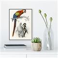 Picture of Feathered Friends _GroupedProduct_Rectangle_Portrait_Canvas_Framed_