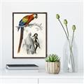 Picture of Feathered Friends _GroupedProduct_Rectangle_Portrait_Canvas_Framed_