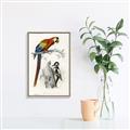 Picture of Feathered Friends _GroupedProduct_Rectangle_Portrait_Canvas_Framed_