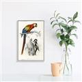 Picture of Feathered Friends _GroupedProduct_Rectangle_Portrait_Canvas_Framed_