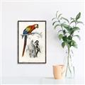 Picture of Feathered Friends _GroupedProduct_Rectangle_Portrait_Canvas_Framed_