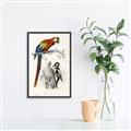 Picture of Feathered Friends _GroupedProduct_Rectangle_Portrait_Canvas_Framed_