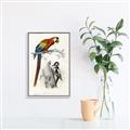 Picture of Feathered Friends _GroupedProduct_Rectangle_Portrait_Canvas_Framed_