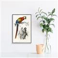 Picture of Feathered Friends _GroupedProduct_Rectangle_Portrait_Canvas_Framed_