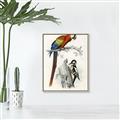 Picture of Feathered Friends _GroupedProduct_Rectangle_Portrait_Canvas_Framed_