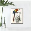 Picture of Feathered Friends _GroupedProduct_Rectangle_Portrait_Canvas_Framed_