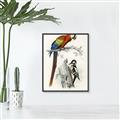 Picture of Feathered Friends _GroupedProduct_Rectangle_Portrait_Canvas_Framed_