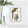 Picture of Feathered Friends _GroupedProduct_Rectangle_Portrait_Canvas_Framed_