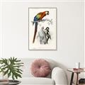 Picture of Feathered Friends _GroupedProduct_Rectangle_Portrait_Canvas_Framed_
