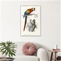 Picture of Feathered Friends _GroupedProduct_Rectangle_Portrait_Canvas_Framed_