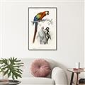 Picture of Feathered Friends _GroupedProduct_Rectangle_Portrait_Canvas_Framed_