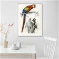 Picture of Feathered Friends _GroupedProduct_Rectangle_Portrait_Canvas_Framed_