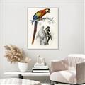 Picture of Feathered Friends _GroupedProduct_Rectangle_Portrait_Canvas_Framed_