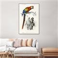 Picture of Feathered Friends _GroupedProduct_Rectangle_Portrait_Canvas_Framed_
