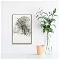 Picture of Trees on a Hill _GroupedProduct_Rectangle_Portrait_Canvas_Framed_
