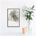 Picture of Trees on a Hill _GroupedProduct_Rectangle_Portrait_Canvas_Framed_