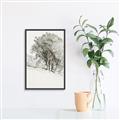 Picture of Trees on a Hill _GroupedProduct_Rectangle_Portrait_Canvas_Framed_