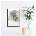 Picture of Trees on a Hill _GroupedProduct_Rectangle_Portrait_Canvas_Framed_