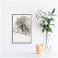 Picture of Trees on a Hill _GroupedProduct_Rectangle_Portrait_Canvas_Framed_