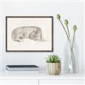 Picture of Tiger Time _GroupedProduct_Rectangle_Landscape_Canvas_Framed_