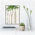 Picture of Palm Botanical _GroupedProduct_Rectangle_Portrait_Canvas_Framed_