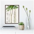 Picture of Palm Botanical _GroupedProduct_Rectangle_Portrait_Canvas_Framed_