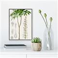 Picture of Palm Botanical _GroupedProduct_Rectangle_Portrait_Canvas_Framed_