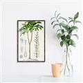 Picture of Palm Botanical _GroupedProduct_Rectangle_Portrait_Canvas_Framed_