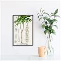 Picture of Palm Botanical _GroupedProduct_Rectangle_Portrait_Canvas_Framed_