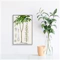 Picture of Palm Botanical _GroupedProduct_Rectangle_Portrait_Canvas_Framed_
