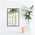 Picture of Palm Botanical _GroupedProduct_Rectangle_Portrait_Canvas_Framed_