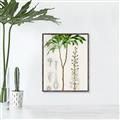 Picture of Palm Botanical _GroupedProduct_Rectangle_Portrait_Canvas_Framed_