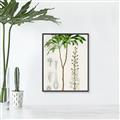 Picture of Palm Botanical _GroupedProduct_Rectangle_Portrait_Canvas_Framed_