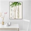 Picture of Palm Botanical _GroupedProduct_Rectangle_Portrait_Canvas_Framed_