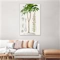 Picture of Palm Botanical _GroupedProduct_Rectangle_Portrait_Canvas_Framed_