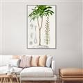 Picture of Palm Botanical _GroupedProduct_Rectangle_Portrait_Canvas_Framed_